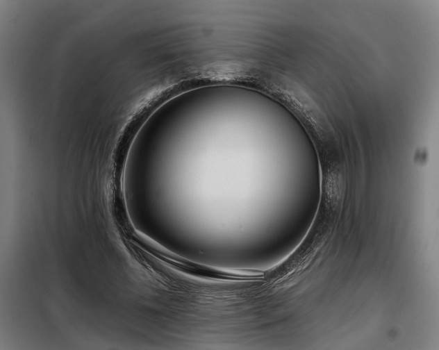 X0000098120540200804041410