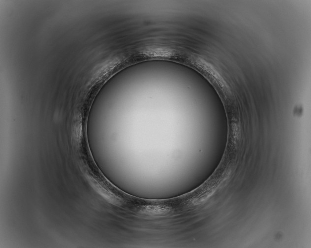 X0000098120541200804041410
