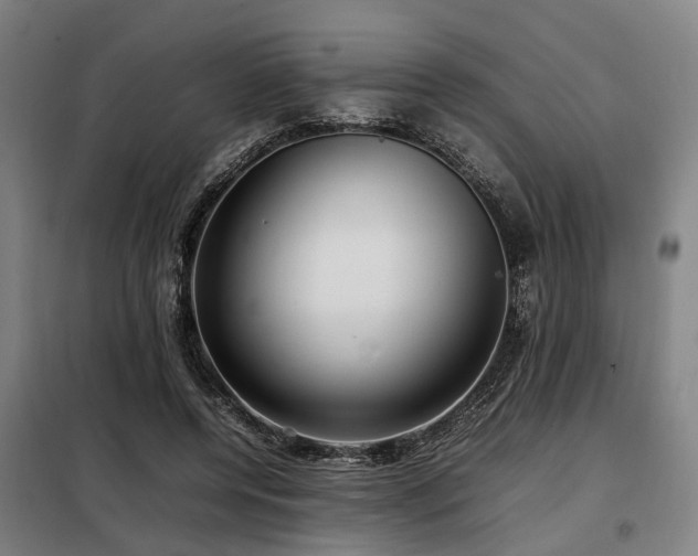 X0000098120544200804041410