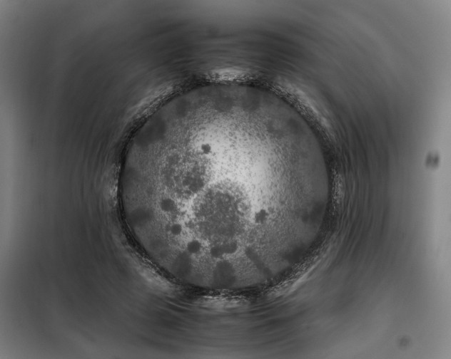 X0000098120545200804041410
