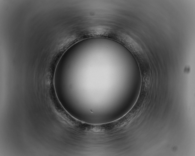 X0000098120546200804041410