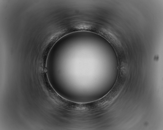 X0000098120547200804041410