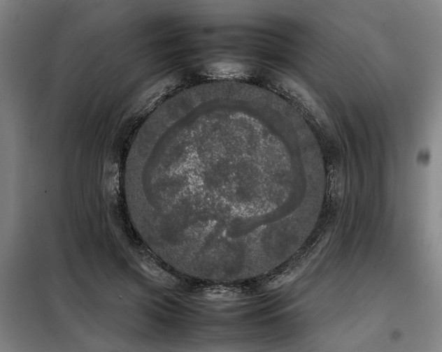 X0000098120549200804041410