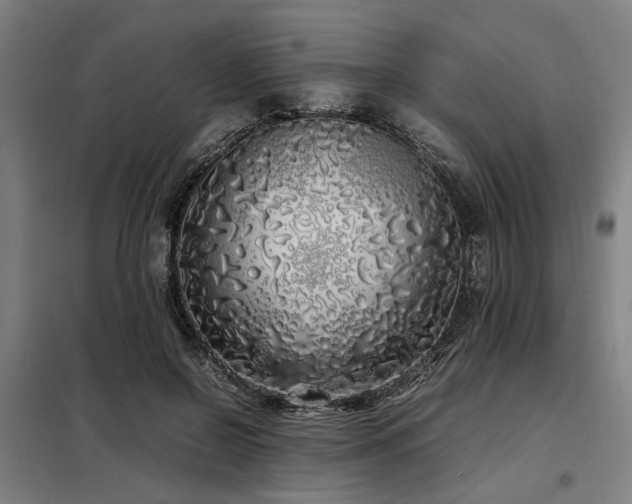 X0000098120550200804041410