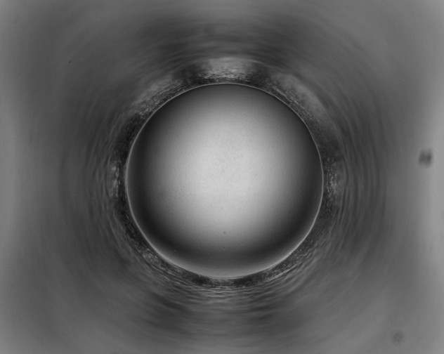 X0000098120551200804041410