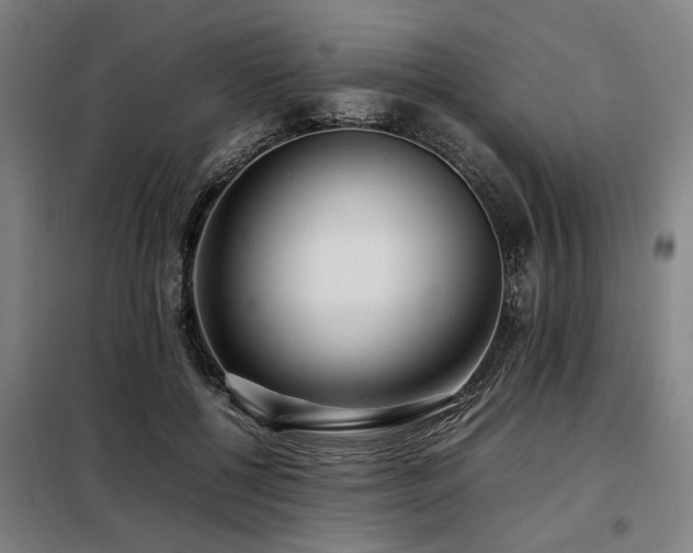 X0000098120552200804041410
