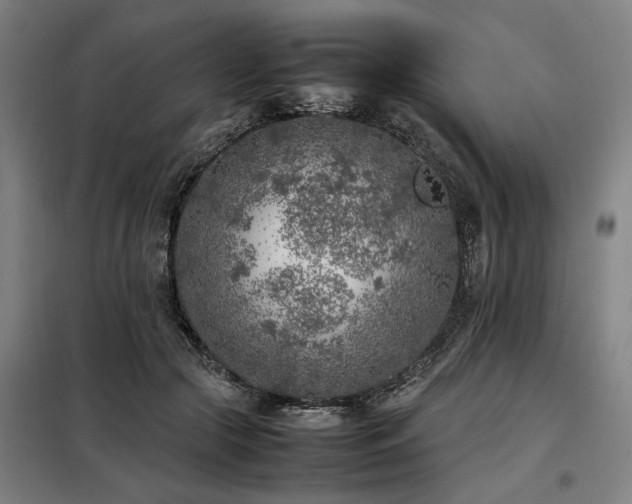 X0000098120553200804041410