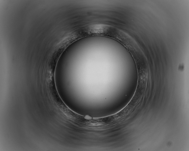 X0000098120555200804041410