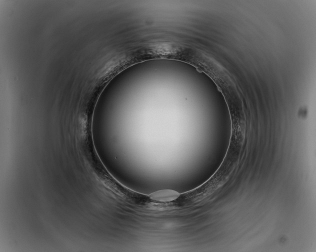 X0000098120556200804041410