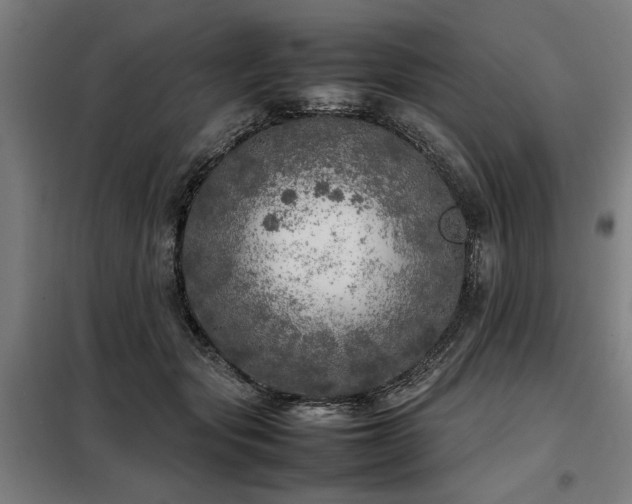 X0000098120557200804041410