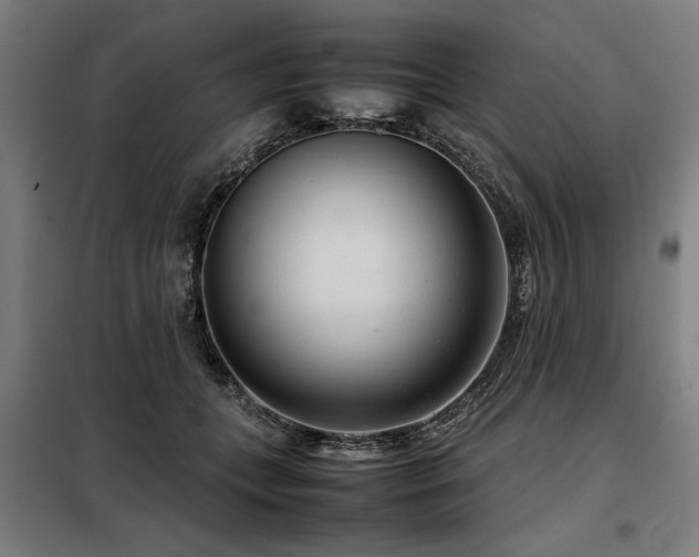 X0000098120559200804041411