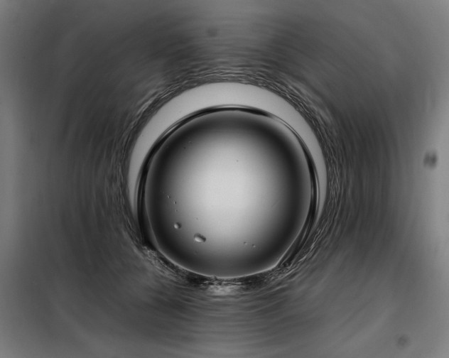 X0000098120560200804041411