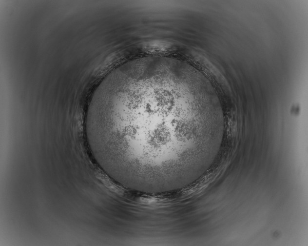 X0000098120561200804041411