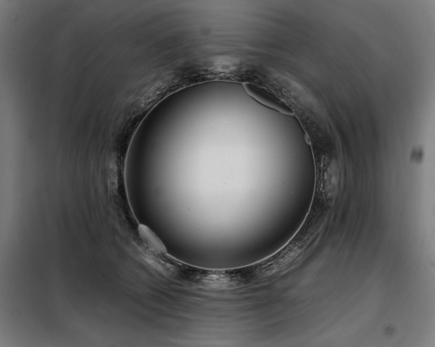 X0000098120562200804041411