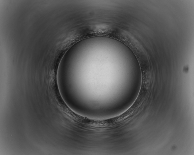 X0000098120563200804041411