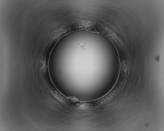 X0000098120564200804041411