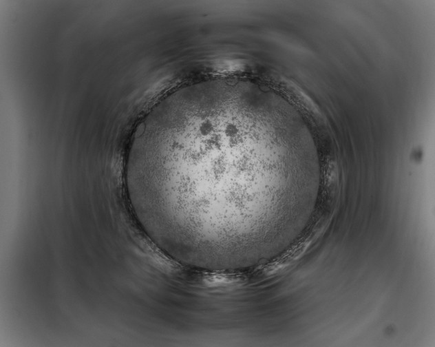 X0000098120565200804041411