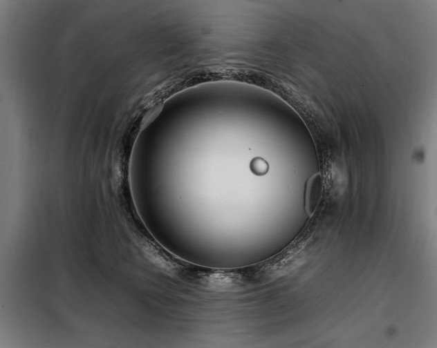 X0000098120566200804041411