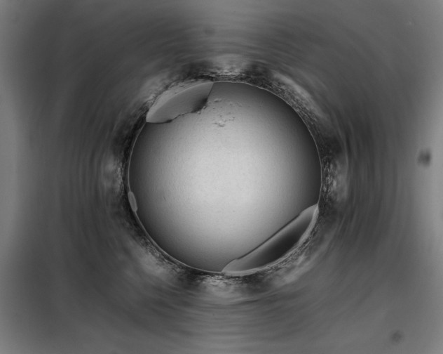X0000098120568200804041411