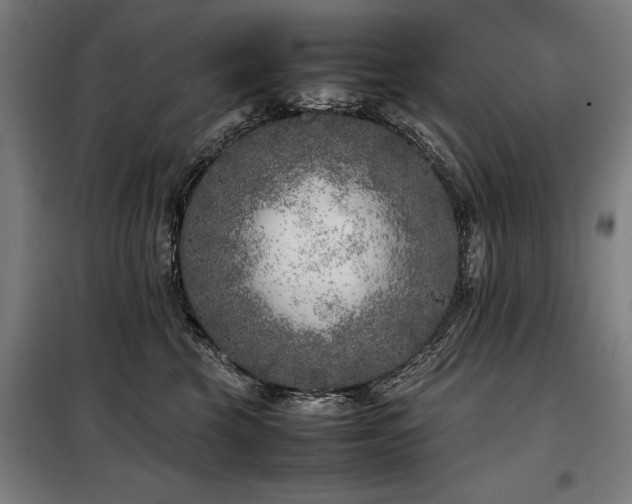 X0000098120569200804041411