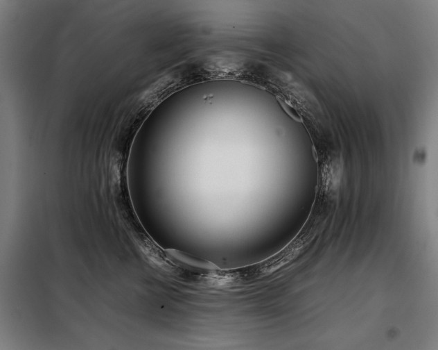 X0000098120570200804041411