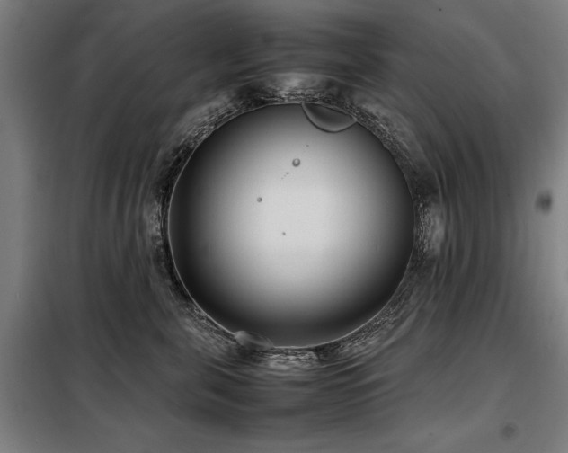 X0000098120571200804041411