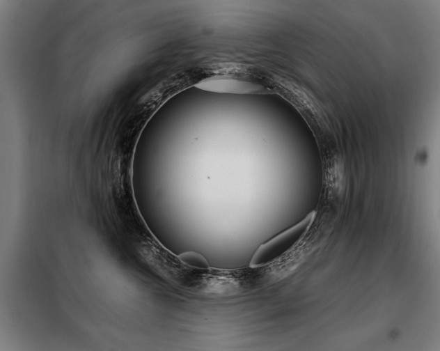 X0000098120572200804041411