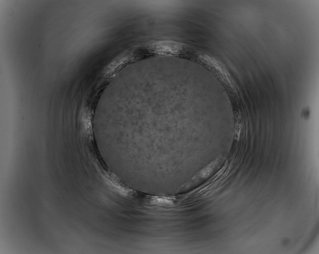 X0000098120573200804041411