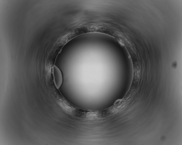 X0000098120574200804041411