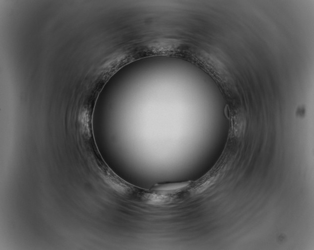 X0000098120575200804041411