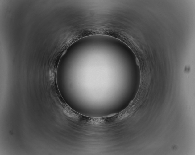 X0000098120576200804041411