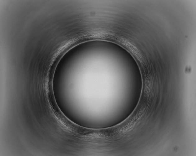 X0000098120578200804041410