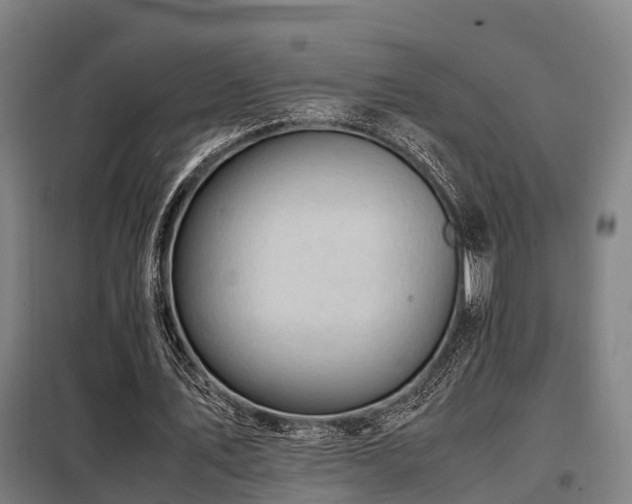 X0000098120579200804041410