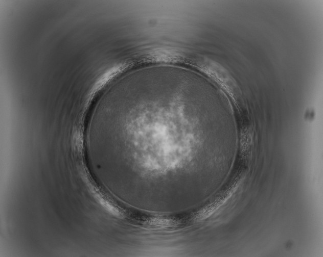 X0000098120581200804041410
