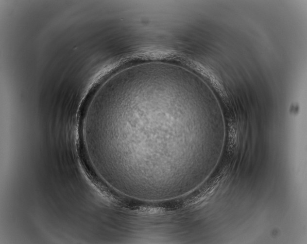 X0000098120582200804041410