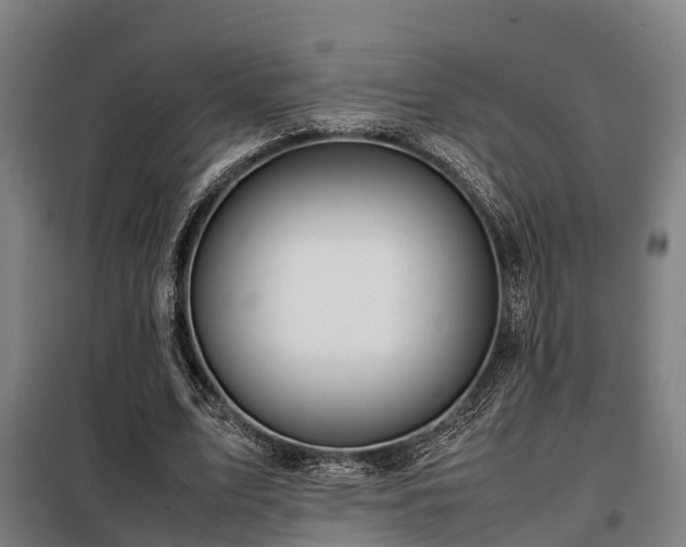 X0000098120583200804041410
