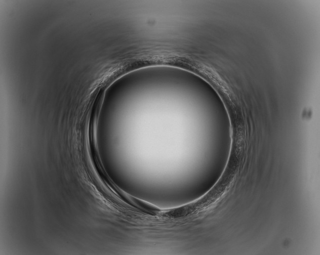 X0000098120585200804041410
