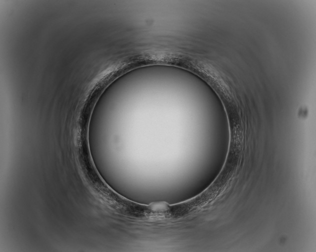 X0000098120587200804041410