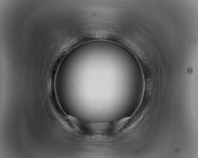 X0000098120589200804041410