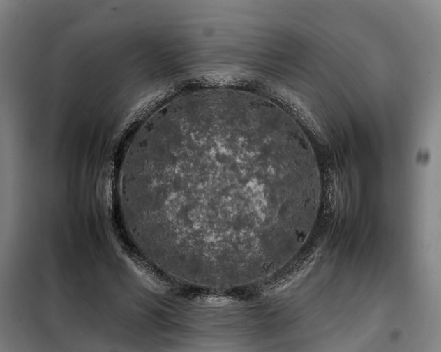 X0000098120590200804041410