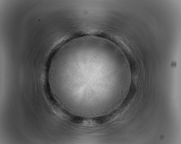 X0000098120591200804041410