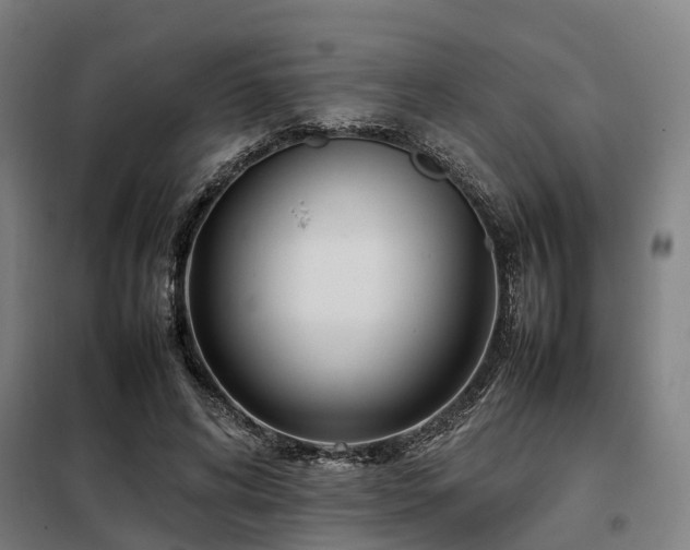X0000098120592200804041410
