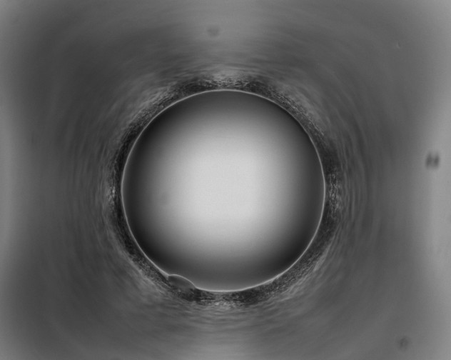 X0000098120593200804041410
