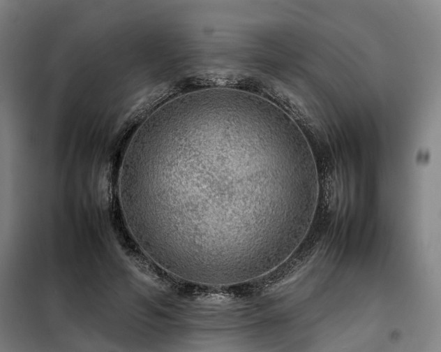 X0000098120594200804041410