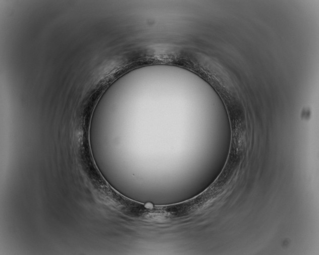 X0000098120595200804041410