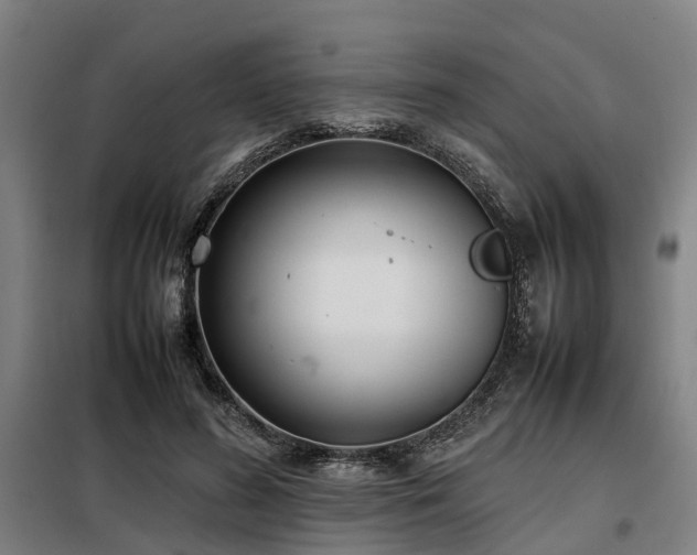 X0000098120596200804041410