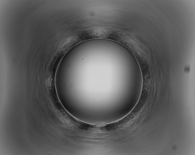 X0000098120597200804041410