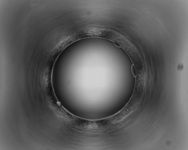 X0000098120600200804041410