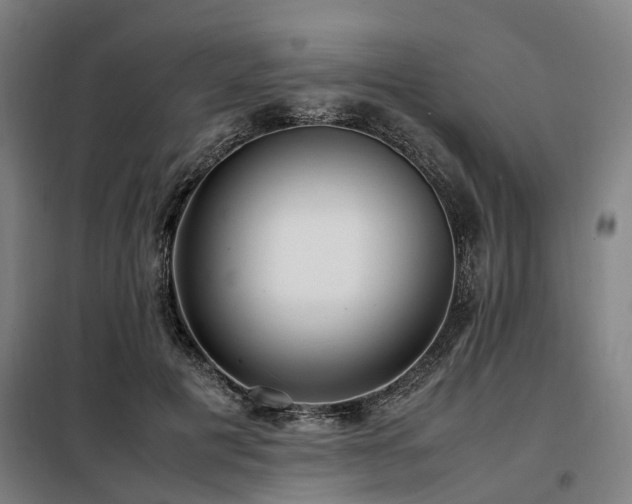 X0000098120601200804041410