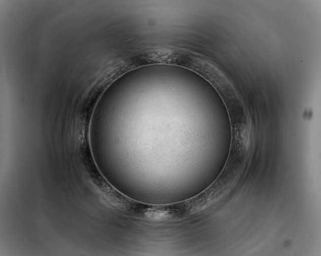X0000098120602200804041410